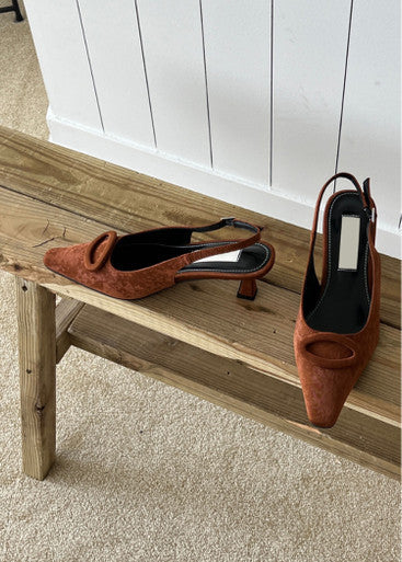 Ari Heel